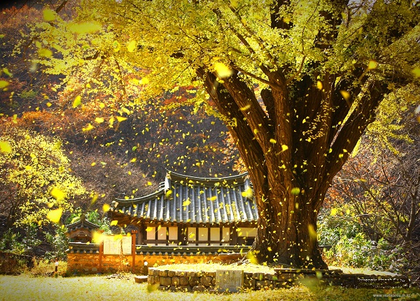 Thứ không thuộc về mình, dù có tranh đoạt được rồi cũng mất. (Ảnh: Internet)