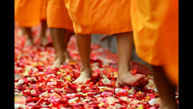 Chuyển sinh sang kiếp sau, vẫn đòi báo thù