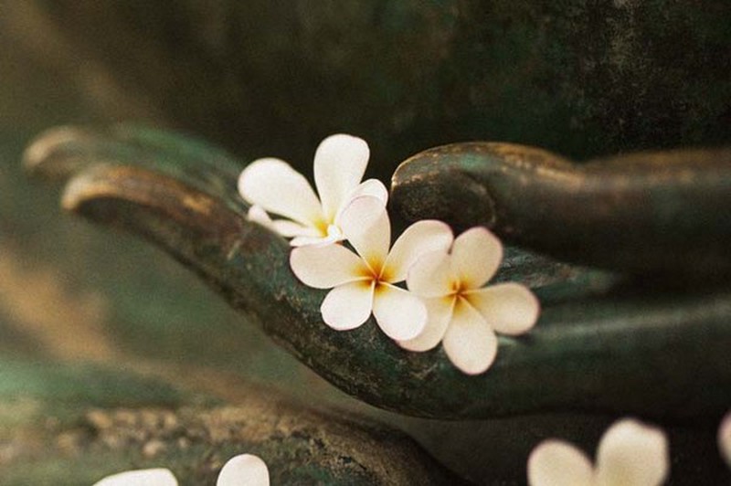 buông bỏ