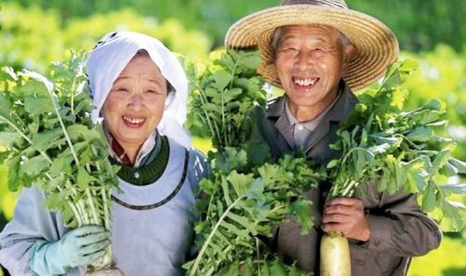 Thuốc trường thọ rẻ nhất thế giới không ngờ lại nằm ở hai chữ "bận rộn" - a1