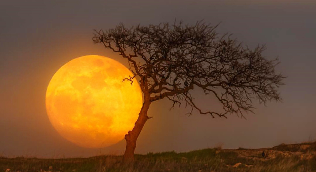 năm 2020 sẽ xuất hiện 4 lần hiện tượng siêu trăng trên thế giới.