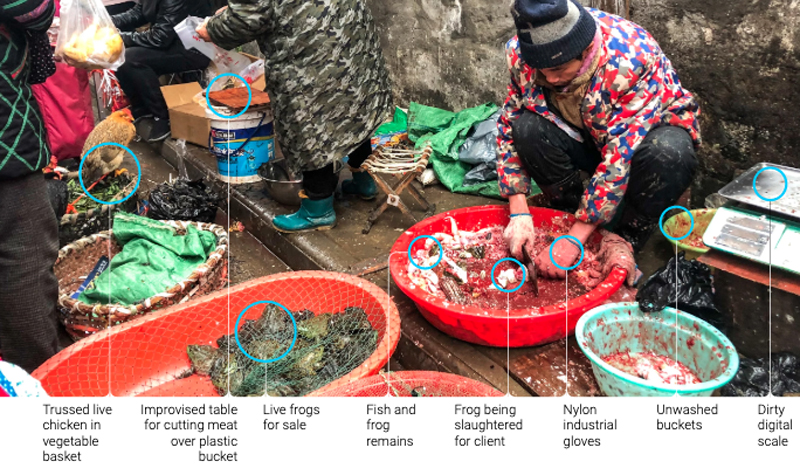 Chính quyền Vũ Hán (Trung Quốc) cho rằng virus corona lây truyền từ động vật sang người lần đầu tại chợ Hoa Nam