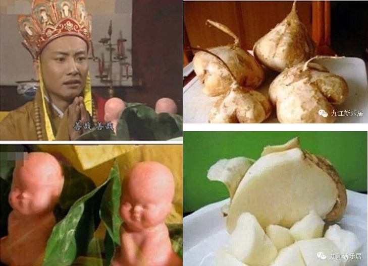 Quả nhân sâm hình trẻ em trong Tây Du Ký 1986 đã đi vào huyền thoại như thế nào - H6