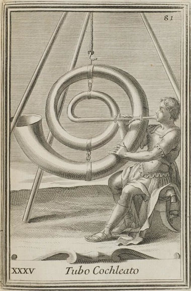 Tubo-Cochleato-cropped-580x884
