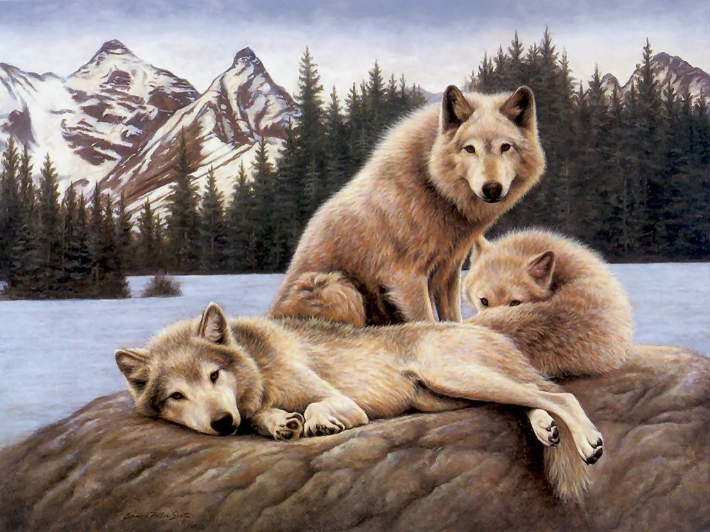 Wolfs-alpha-and-omega-22891728-1024-768