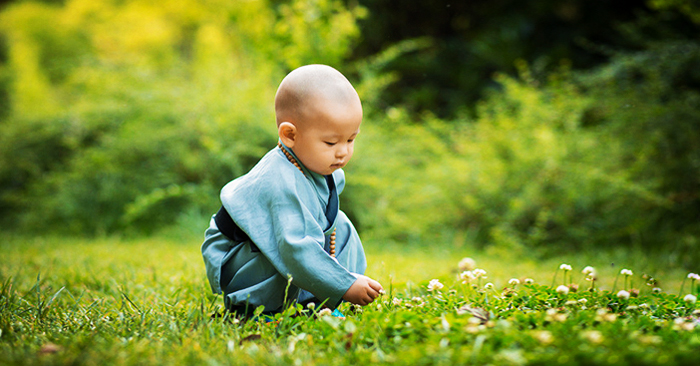 Đời người nếu muốn lâu dài, tâm thái nên mềm mỏng, tính tình cứng nhắc chỉ nhận lấy thiệt thòi. 
