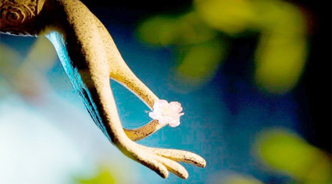 Học cách chấp nhận là một bước tiến lớn để trưởng thành - ảnh 2