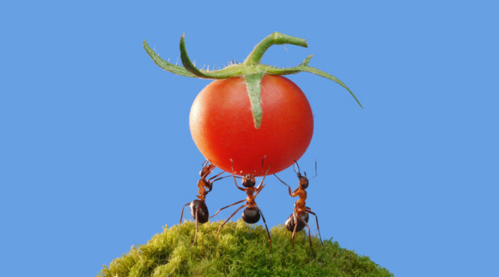 Không có ai sinh ra đã là một người mạnh mẽ, cũng không có ai một bước đã thành công, phía sau của tất cả sự thành công đều là sự kiên trì và nỗ lực mà người khác không hề hay biết.