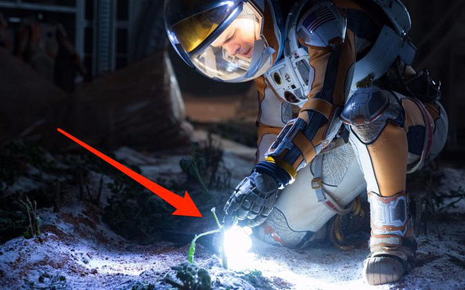 potatoes-can-grow-in-extreme-mars-like-conditions-a-new-nasa-backed-experiment-shows-1489340269658-0-106-420-778-crop-1489340562185