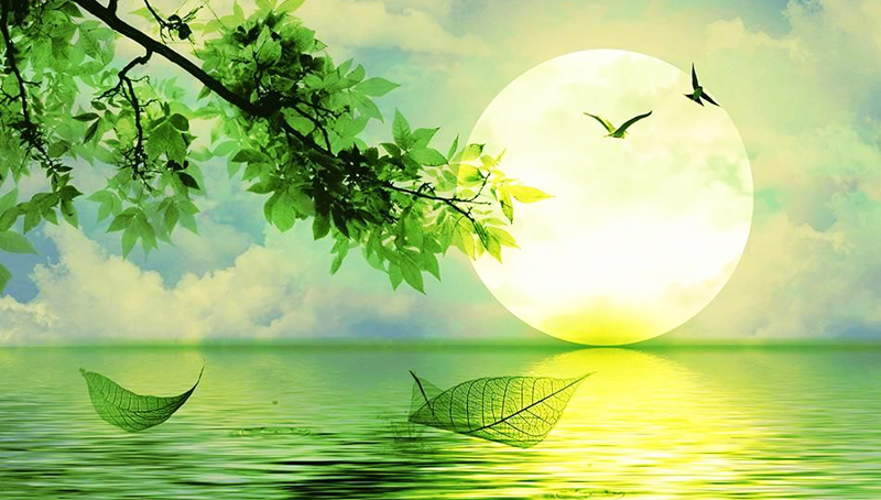 Vì sao một người ngốc nghếch như Quách Tĩnh lại lấy được Hoàng Dung?