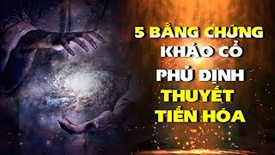 5 bằng chứng khảo cổ phủ định thuyết Tiến hóa