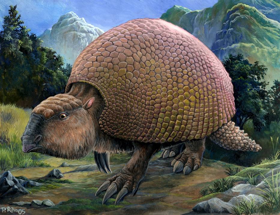 Glyptodon_(Riha2000)