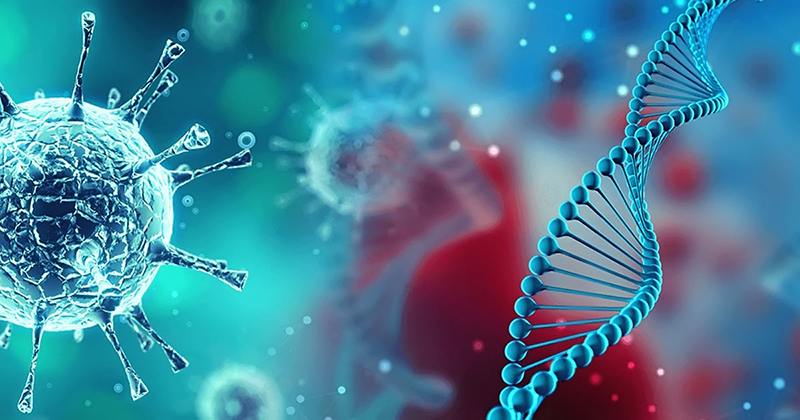 irus corona chủng mới sử dụng cách thức tương tự như virus HIV, trong việc lẩn tránh sự tấn công từ hệ thống miễn dịch của con người.