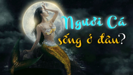 Người cá đang sống ở đâu?