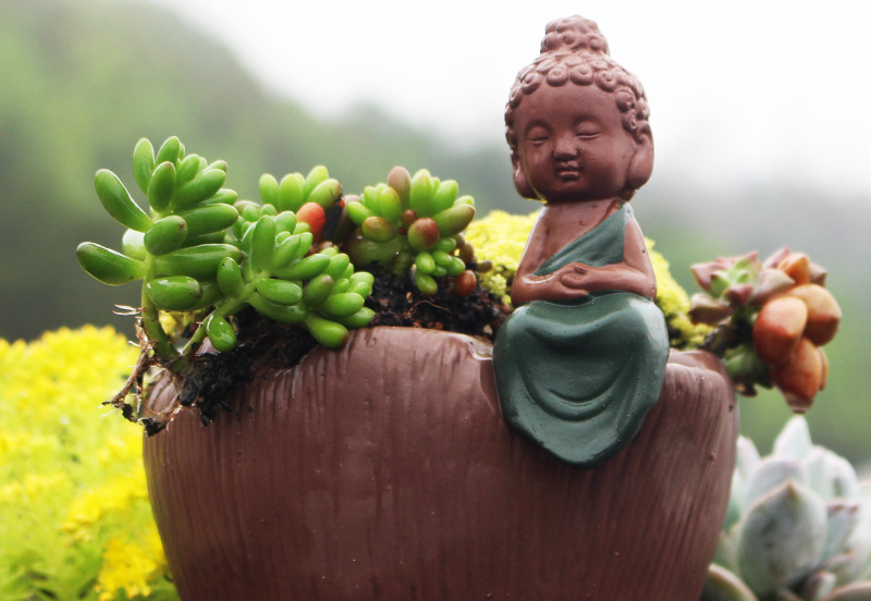 Làm người, cảnh giới cao nhất, kỳ thực là 2 chữ "giả khờ" - ảnh 2