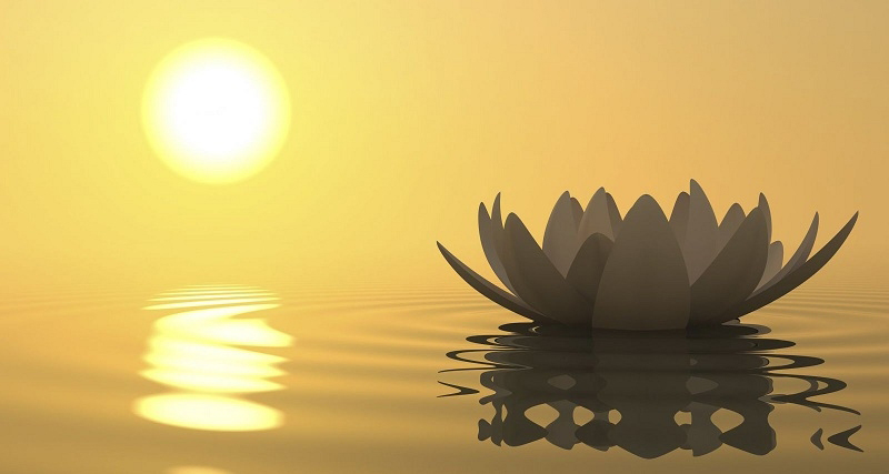 Nuôi dưỡng "thiện tâm" để mỗi đêm giấc ngủ được tròn đầy - ảnh 3