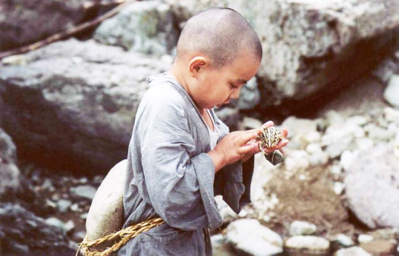 Làm người, cảnh giới cao nhất, kỳ thực là 2 chữ "giả khờ" - ảnh 1