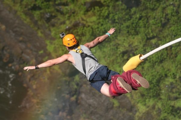 Những câu chuyện "liều nhưng thiếu hiểu biết" khiến bạn cười ra nước mắt.1