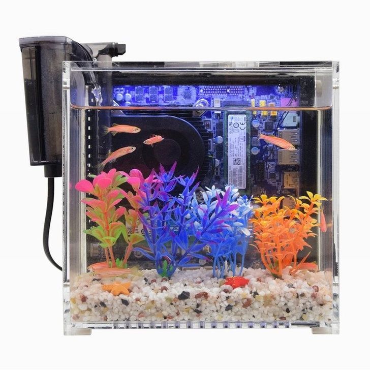 METALFISH Fish Cube