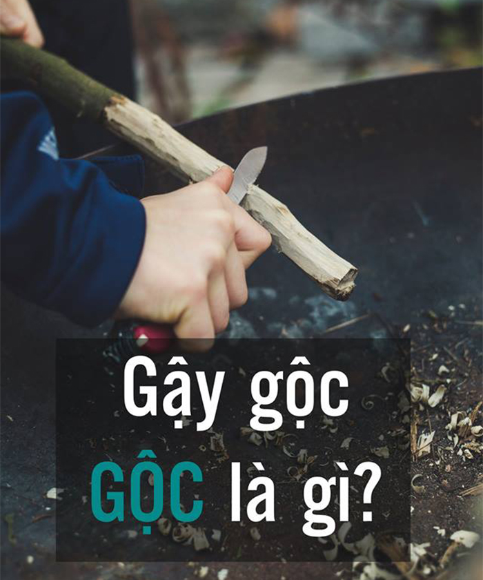 'Gộc' là 'cây củi có khúc đẩn lớn cũng là 'đoạn gốc của cây tre, cây vầu' hay có nghĩa là 'to lớn'.