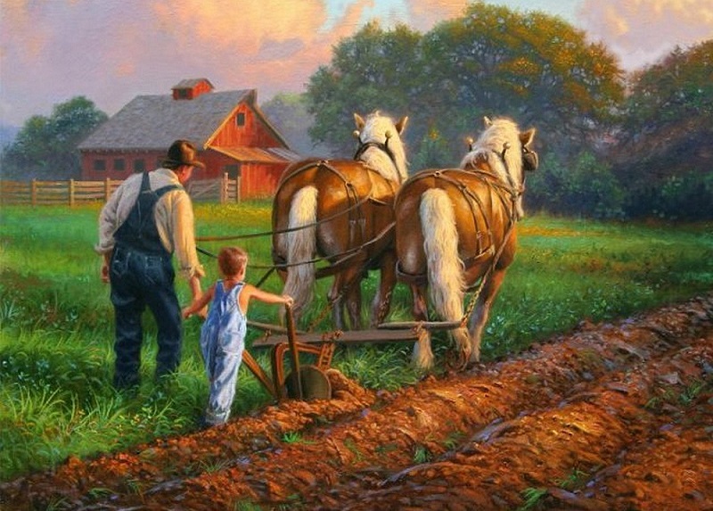 Nông dân Hoa Kỳ 