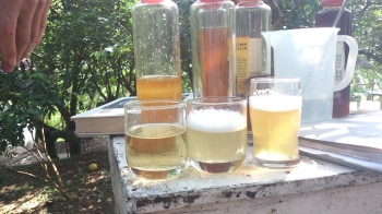 ç´æ­£èèå æ°´ææå¾æ³¡æ²«å¤åå¯ï¼ä¸­ï¼ï¼æ²æ³¡æ²«çæ¯åèèï¼å·¦ï¼ï¼æ³¡æ²«ä¸å¤æ¯æ··åèï¼å³ï¼ãï¼è¨èé­å®è¬ï¼æå½±ï¼