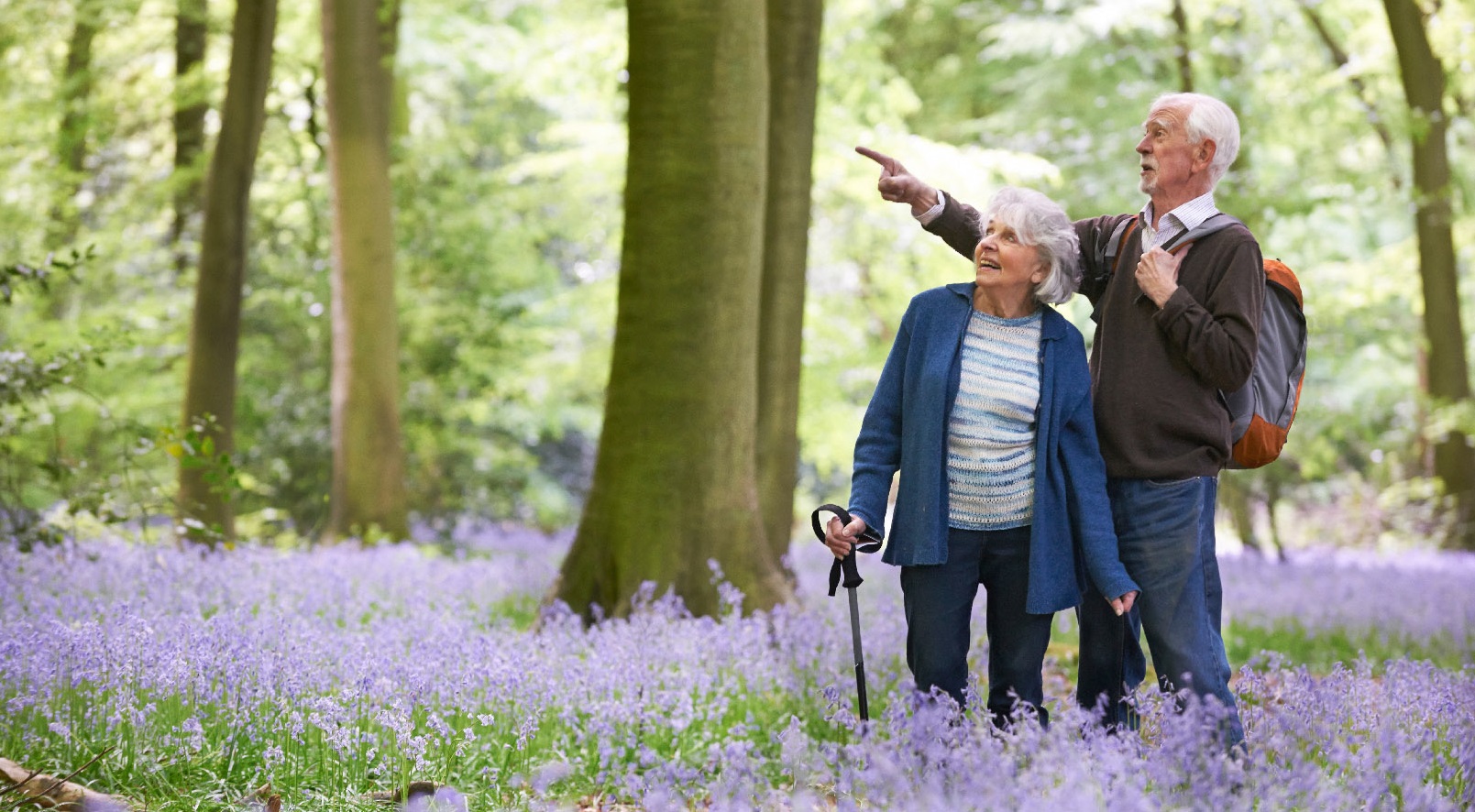 Đi bộ trong thiên nhiên là bài tập vô cùng tốt giúp tăng cường trí não