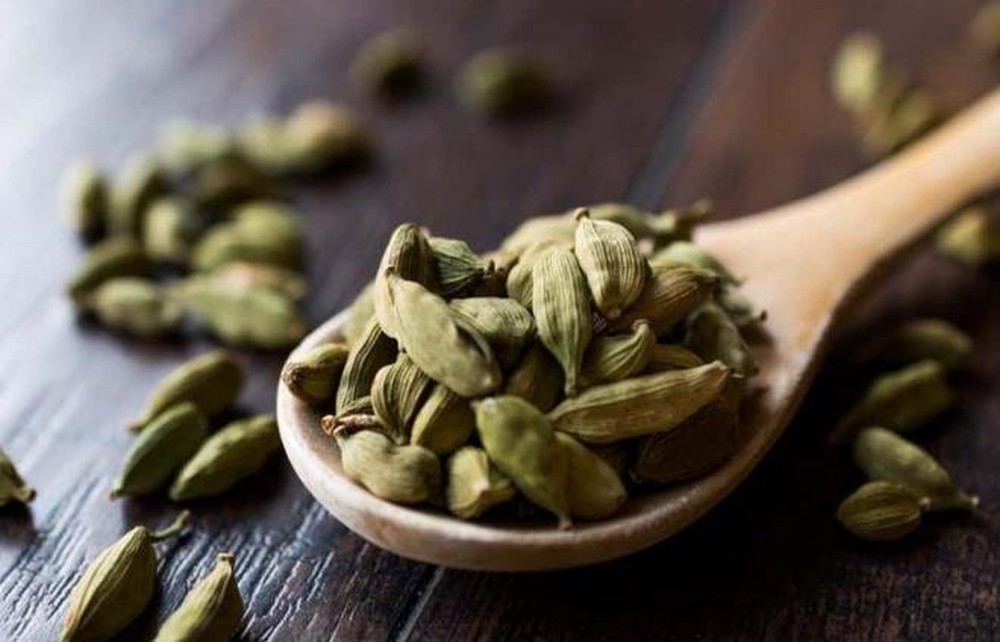 Vua Minh Mạng phát bạch đậu khấu, dạy dân đổi mồi lửa khi có bệnh dịch - ảnh 2