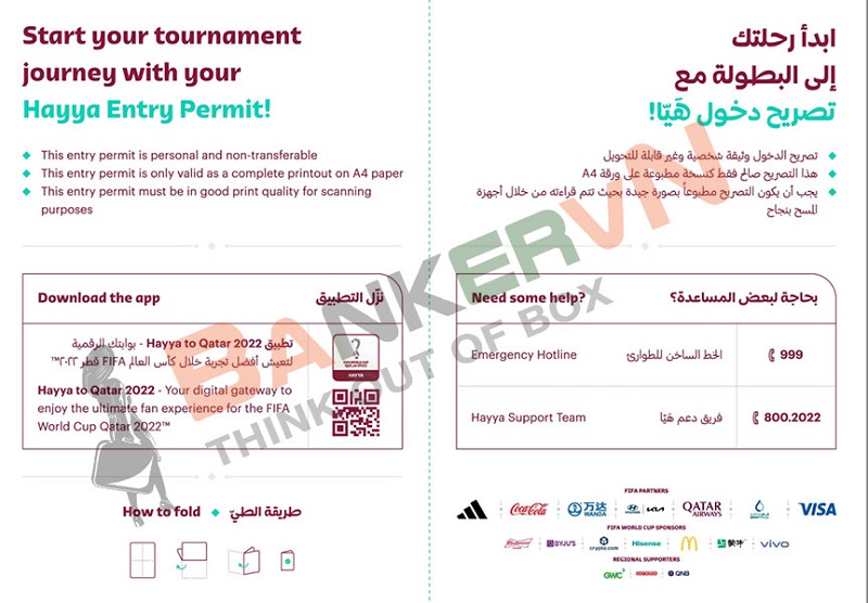 Visa Qatar World Cup