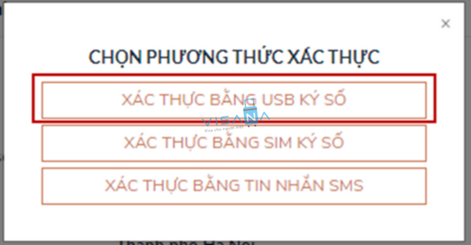 Thêm phương thức xác thực bằng USB ký số visana