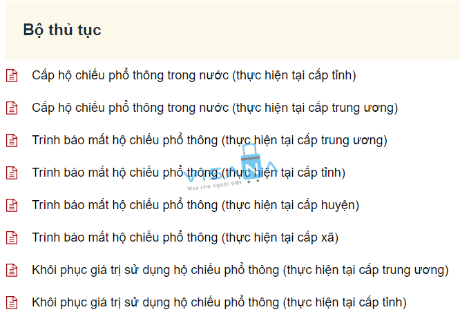 Làm hộ chiếu phổ thông gắn chíp điện tử online visana5