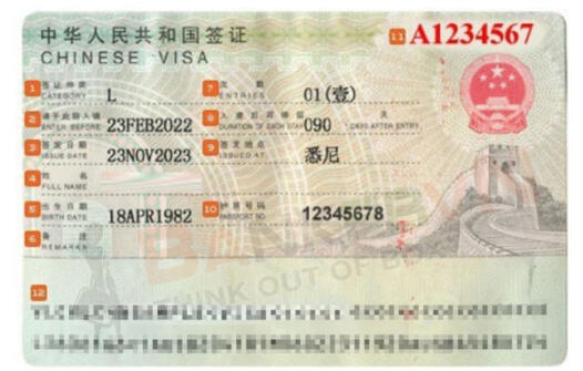 Đọc thông tin trên visa Trung Quốc