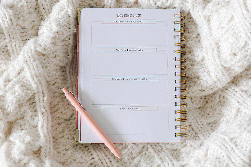 Một cái nhìn bên trong Baby Chick Motherhood Planner. Đây là trang nhìn lại.