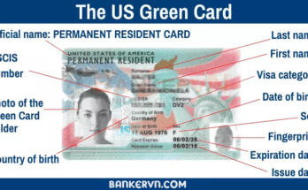 The Xanh My Duoc Mien Visa Nhung Nuoc Nao.jpg