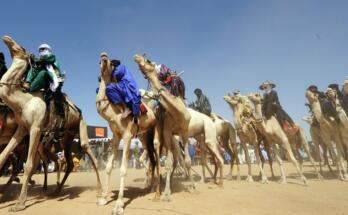 Di Niger Co Can Visa Khong.jpg