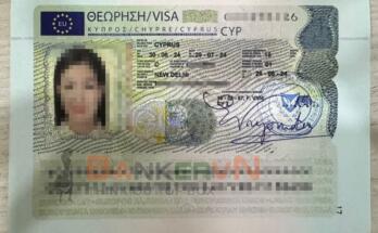 Thu Tuc Xin Visa Dao Sip.jpg