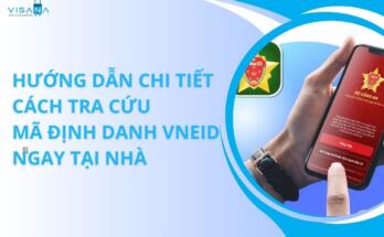 Tra Cuu Ma Dinh Danh Vneid 1 1.jpg