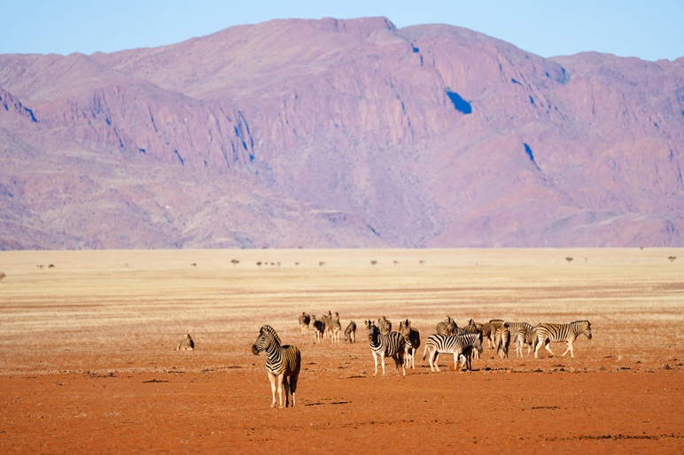 Thủ tục xin visa Namibia